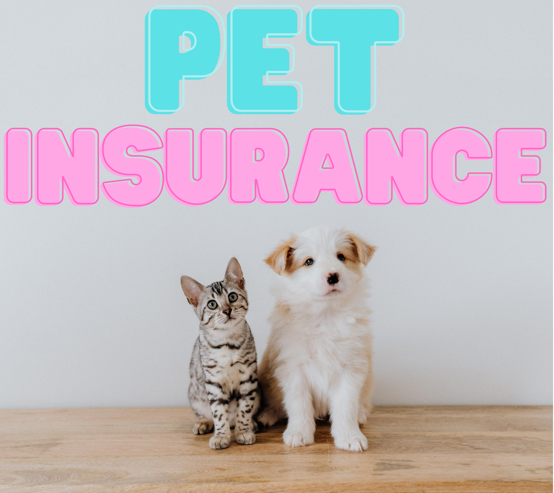 Pet Insurance Providers in The United States of America